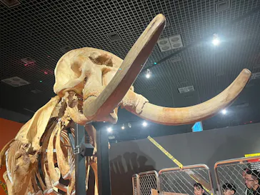 特別展「超危険生物展　科学で挑む生き物の本気」に投稿された画像（2026/3/22）