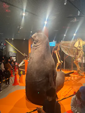 特別展「超危険生物展　科学で挑む生き物の本気」に投稿された画像（2026/3/22）