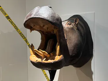 特別展「超危険生物展　科学で挑む生き物の本気」に投稿された画像（2026/3/22）