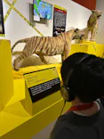 特別展「超危険生物展　科学で挑む生き物の本気」に投稿された画像（2026/3/22）