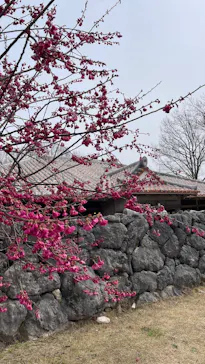 野外民族博物館 リトルワールドに投稿された画像（2026/3/22）