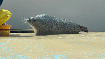 アドベンチャーワールドに投稿された画像（2026/3/22）