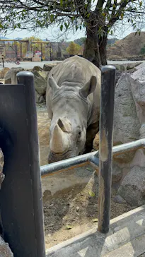 アドベンチャーワールドに投稿された画像（2026/3/22）