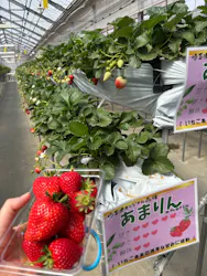 東松山市農林公園に投稿された画像（2026/3/22）