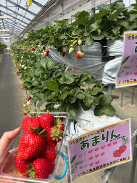 東松山市農林公園に投稿された画像（2026/3/22）