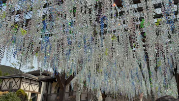 箱根ガラスの森美術館に投稿された画像（2026/3/22）