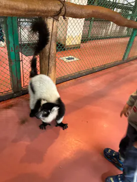 那須ワールドモンキーパークに投稿された画像（2026/3/22）