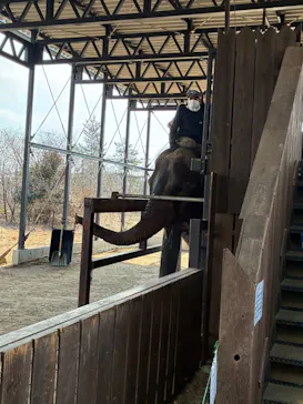 那須ワールドモンキーパークに投稿された画像（2026/3/22）