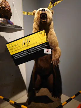 特別展「超危険生物展　科学で挑む生き物の本気」に投稿された画像（2026/3/22）