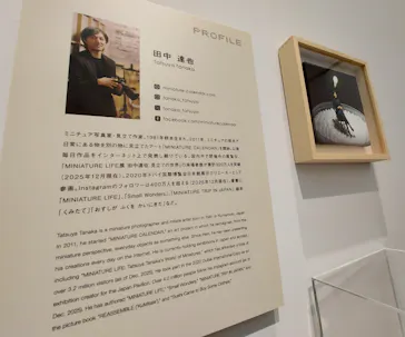 田中達也展 みたてのくみたてに投稿された画像（2026/3/22）