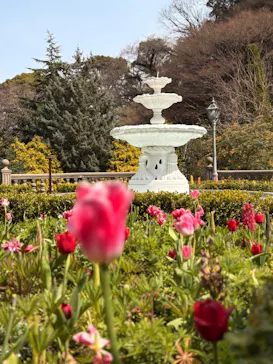 ACAO FORESTに投稿された画像（2026/3/22）