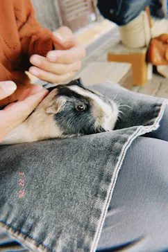 日立市かみね動物園に投稿された画像（2026/3/22）