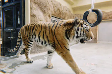 日立市かみね動物園に投稿された画像（2026/3/22）