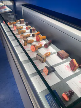 万博記念公園に投稿された画像（2026/3/22）