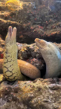 名古屋港水族館に投稿された画像（2026/3/22）