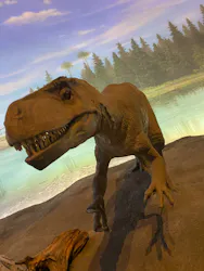 福井県立恐竜博物館に投稿された画像（2026/3/22）