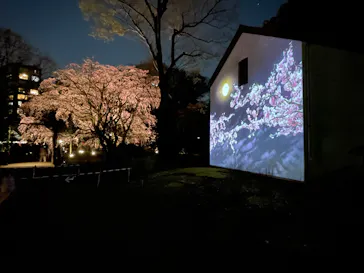 六義園に投稿された画像（2026/3/22）