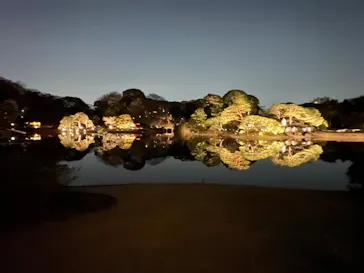 六義園に投稿された画像（2026/3/22）