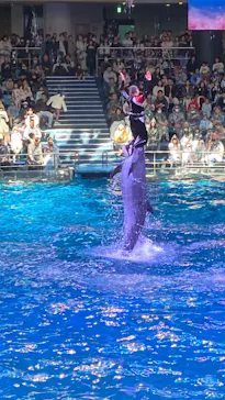 マクセル アクアパーク品川に投稿された画像（2026/3/22）