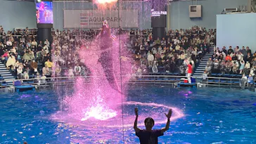 マクセル アクアパーク品川に投稿された画像（2026/3/22）