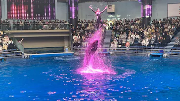 マクセル アクアパーク品川に投稿された画像（2026/3/22）