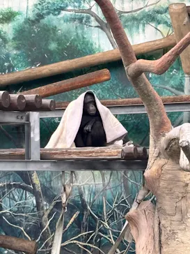 天王寺動物園に投稿された画像（2026/3/22）