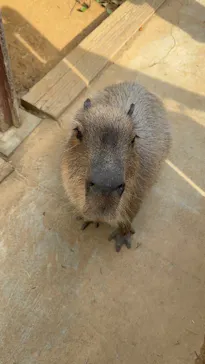 横浜・八景島シーパラダイスに投稿された画像（2026/3/22）