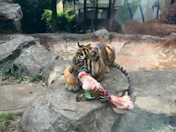 恩賜上野動物園に投稿された画像（2026/3/22）