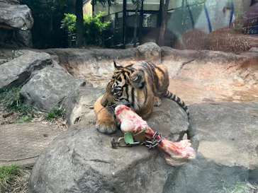 恩賜上野動物園に投稿された画像（2026/3/22）