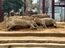 恩賜上野動物園に投稿された画像（2026/3/22）