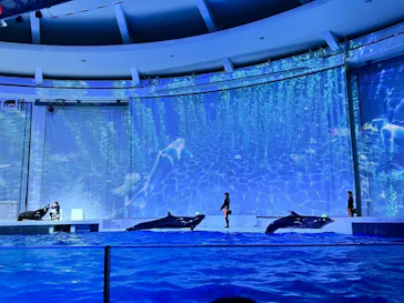 アクアワールド茨城県大洗水族館に投稿された画像（2026/3/22）