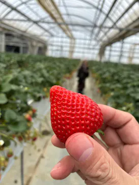 お陽様農園に投稿された画像（2026/3/22）