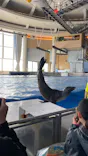 アクアワールド茨城県大洗水族館に投稿された画像（2026/3/22）