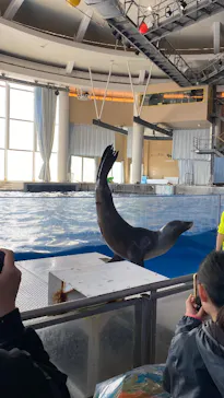 アクアワールド茨城県大洗水族館に投稿された画像（2026/3/22）