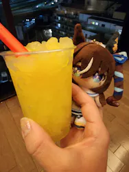 東京・湯河原温泉 万葉の湯に投稿された画像（2026/3/22）