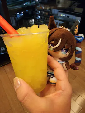 東京・湯河原温泉 万葉の湯に投稿された画像（2026/3/22）