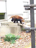 千葉市動物公園に投稿された画像（2026/3/22）