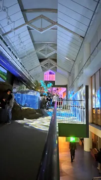 アクアワールド茨城県大洗水族館に投稿された画像（2026/3/22）