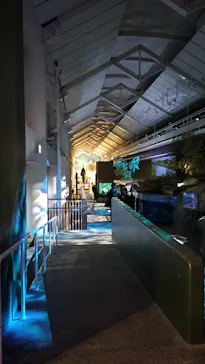 アクアワールド茨城県大洗水族館に投稿された画像（2026/3/22）