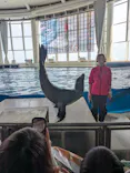 アクアワールド茨城県大洗水族館に投稿された画像（2026/3/22）