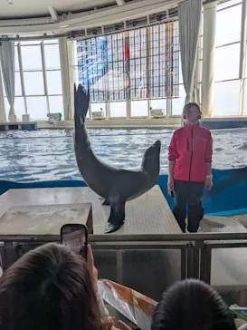 アクアワールド茨城県大洗水族館に投稿された画像（2026/3/22）