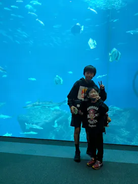 アクアワールド茨城県大洗水族館に投稿された画像（2026/3/22）