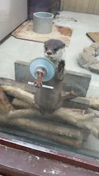 横浜・八景島シーパラダイスに投稿された画像（2026/3/22）