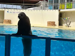 伊豆・三津シーパラダイスに投稿された画像（2026/3/22）