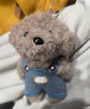 つくばわんわんランドに投稿された画像（2026/3/22）