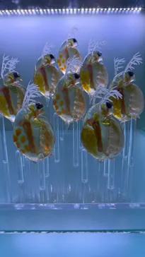 マクセル アクアパーク品川に投稿された画像（2026/3/22）