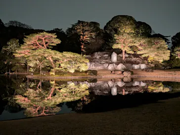 六義園に投稿された画像（2026/3/22）