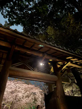 六義園に投稿された画像（2026/3/22）