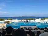 沖縄美ら海水族館に投稿された画像（2026/3/22）