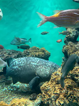 葛西臨海水族園に投稿された画像（2026/3/22）